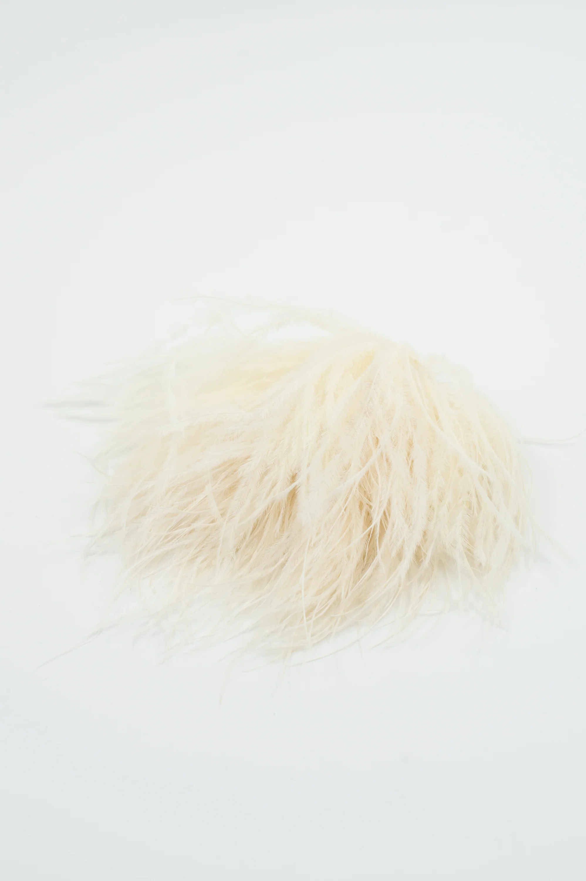 Zaza broche met veren in ecru - Image 2