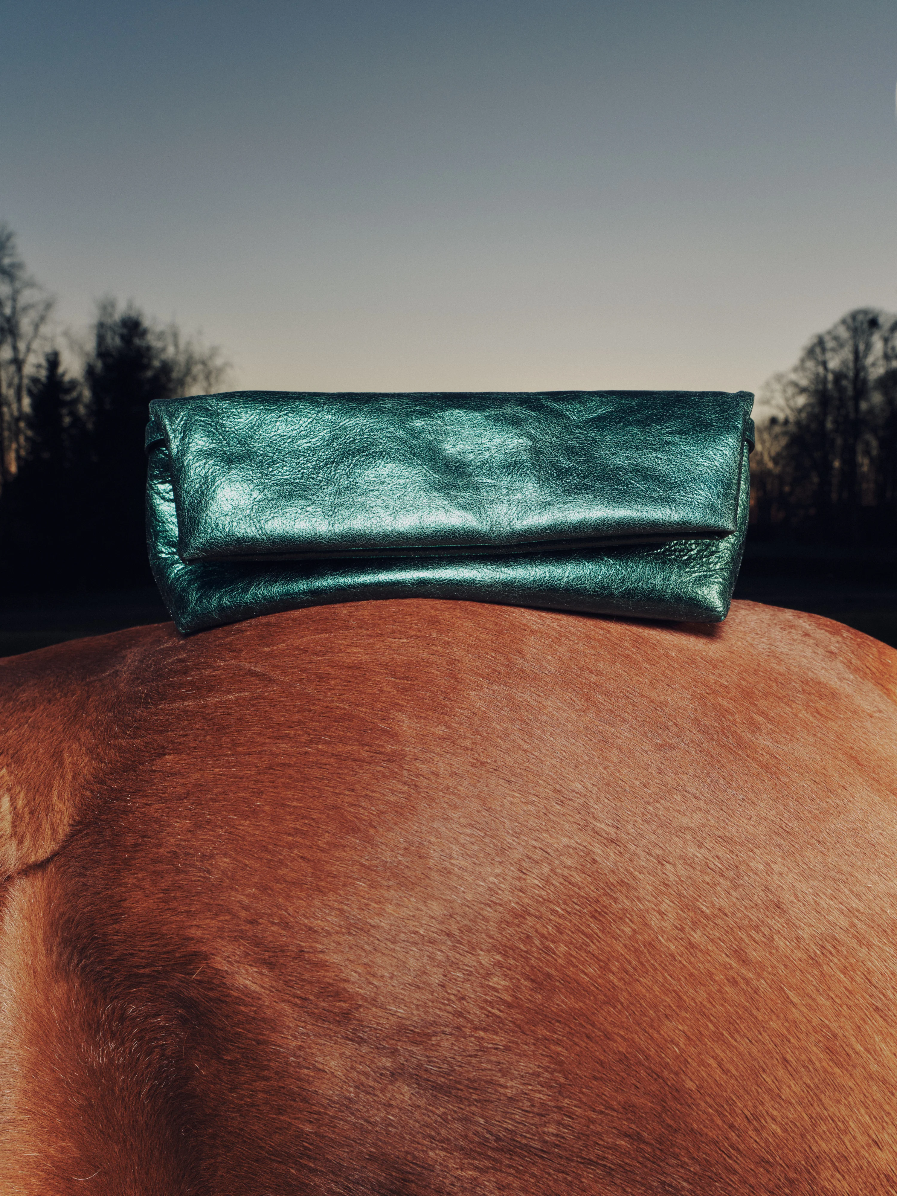 Gennaro handtas in metallic green