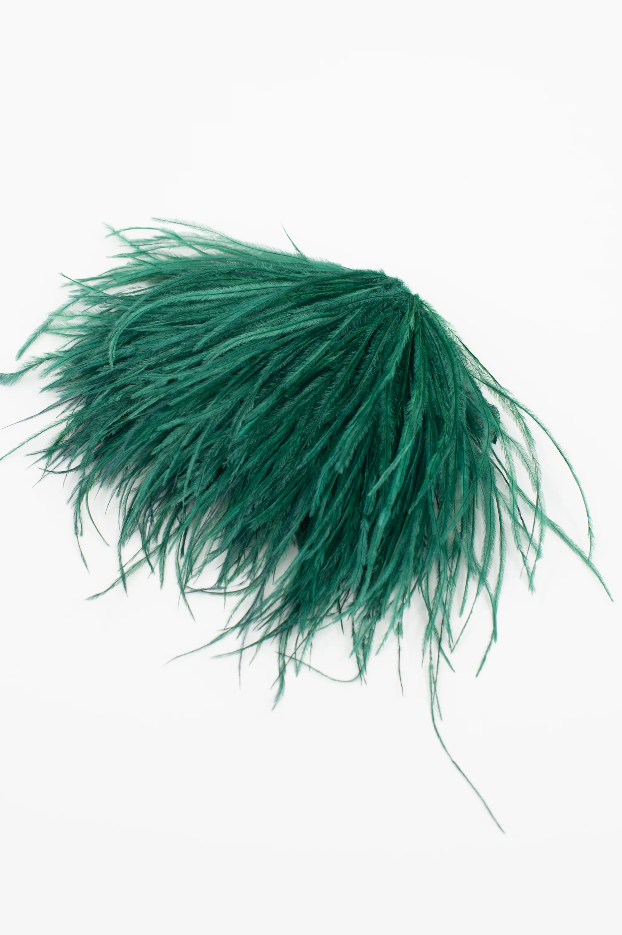 Zaza broche met veren in dennengroen - Image 2
