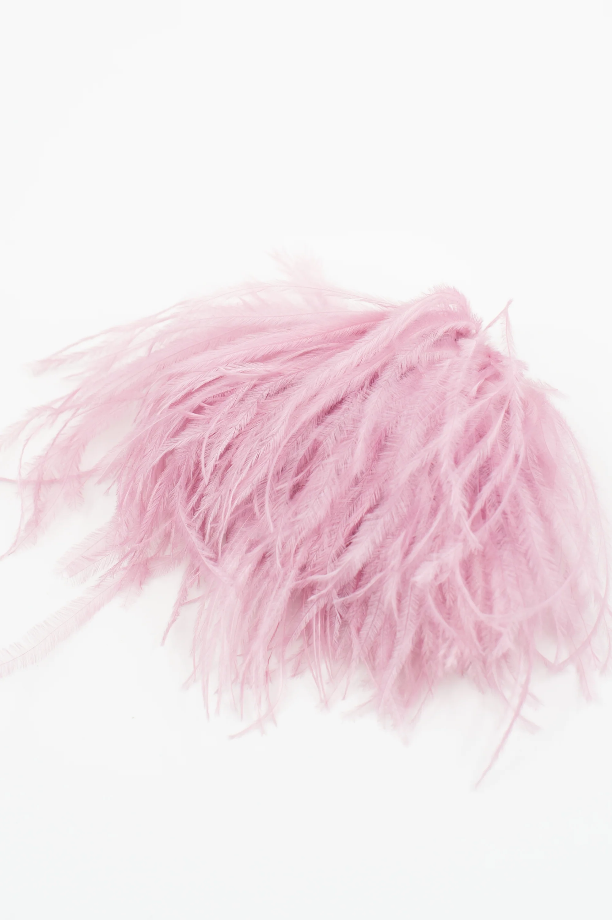 Zaza broche met veren in lila