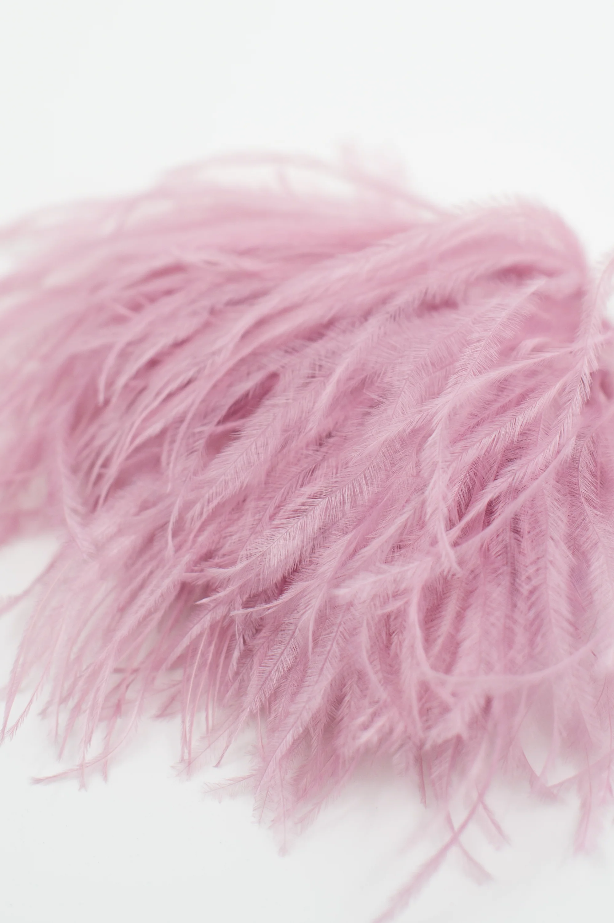 Zaza broche met veren in lila - Image 3
